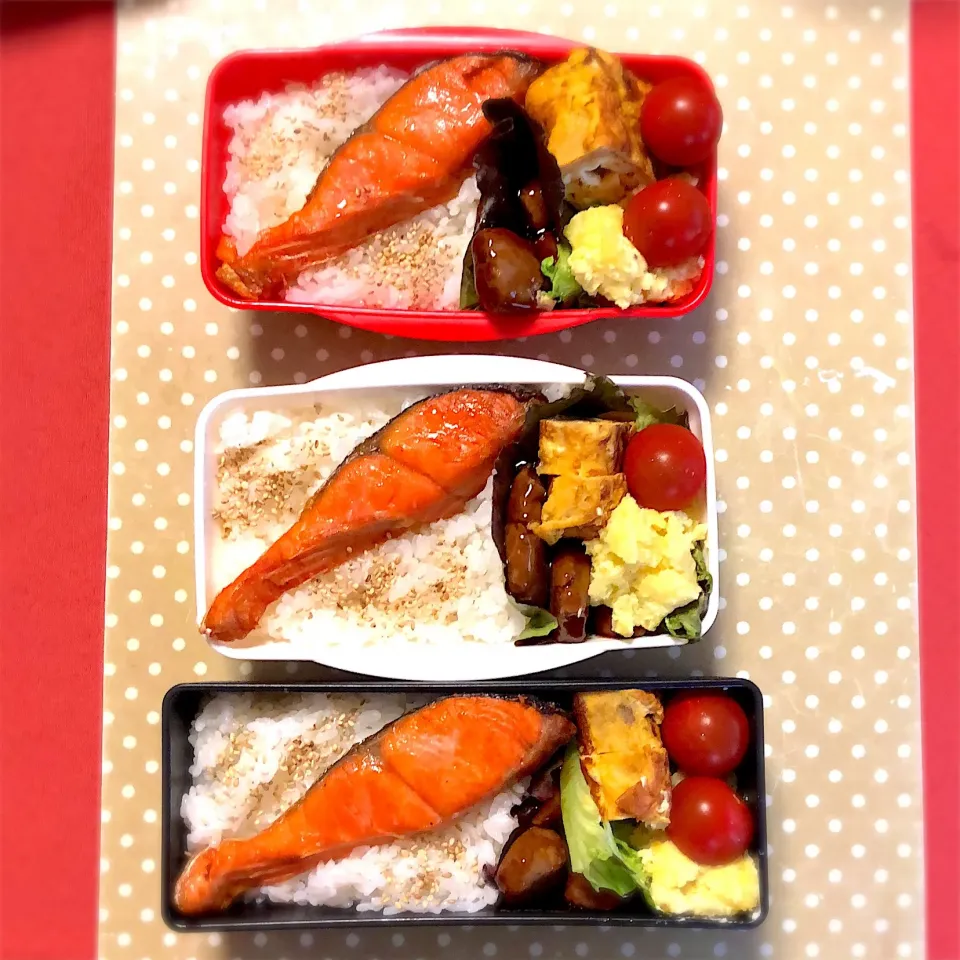 Snapdishの料理写真:女子高生弁当#鮭弁当 #たまごやき #肉団子#3人分 #時短のお弁当|Eriko  Naraさん