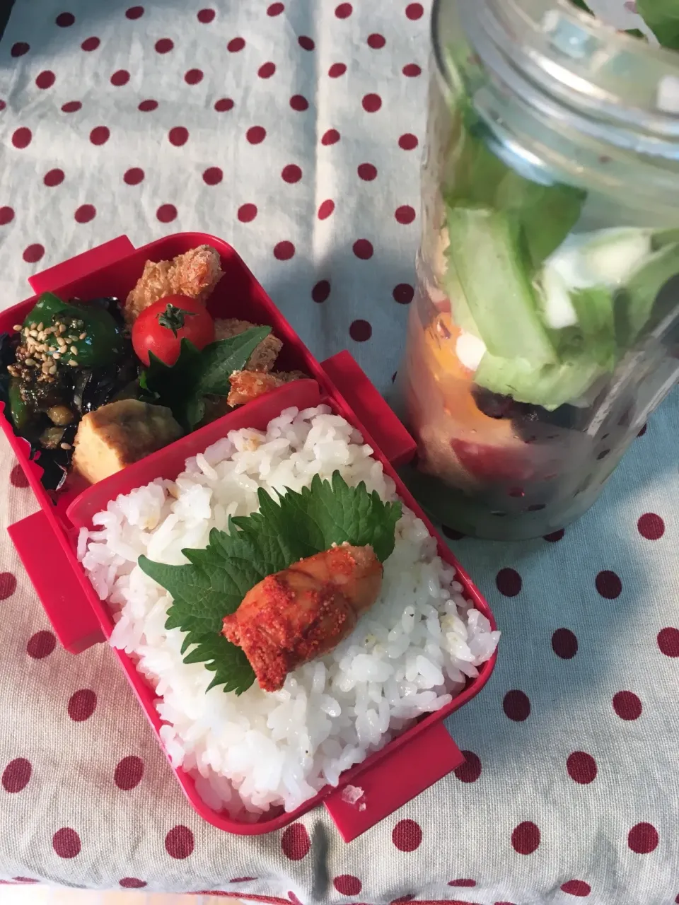 Snapdishの料理写真:6月1日 週末弁当|sakuramochiさん