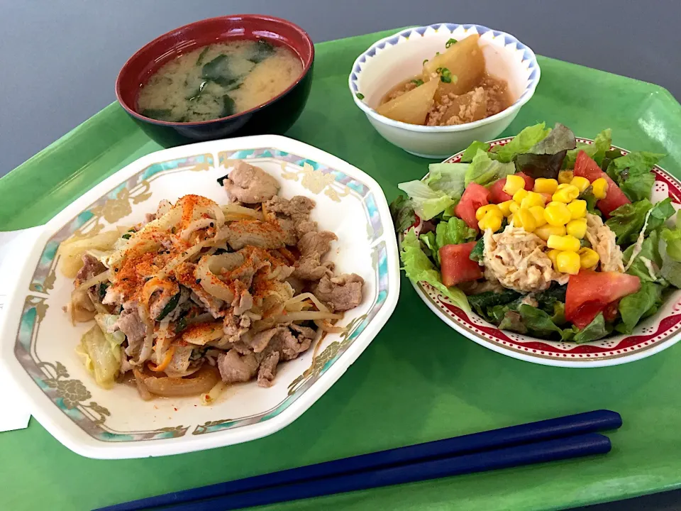 豚肉のジンギスカン風、大根のそぼろ煮、チキンとインゲンの胡麻サラダ|Tadahiko Watanabeさん