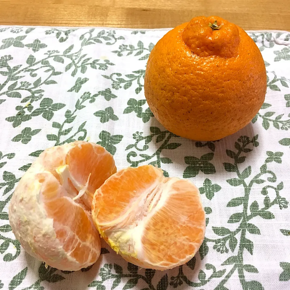 不知火🍊|こいちさん