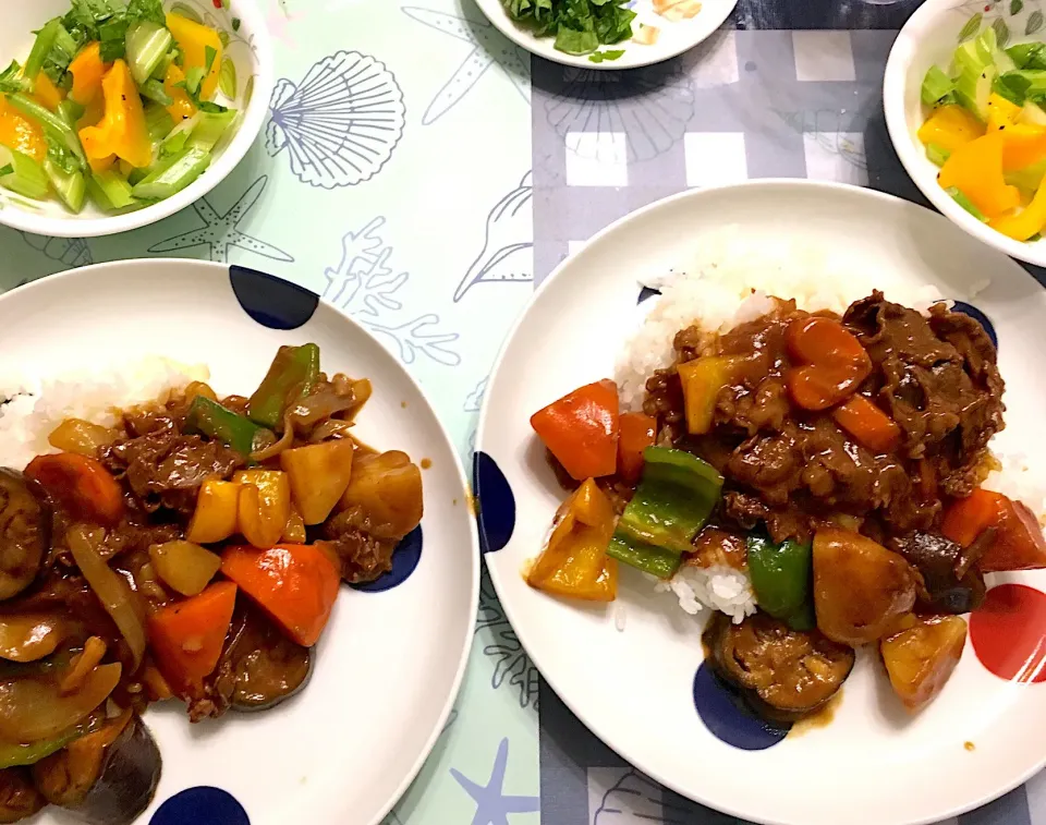 夏野菜と牛切り落としのカレー|ありすさん