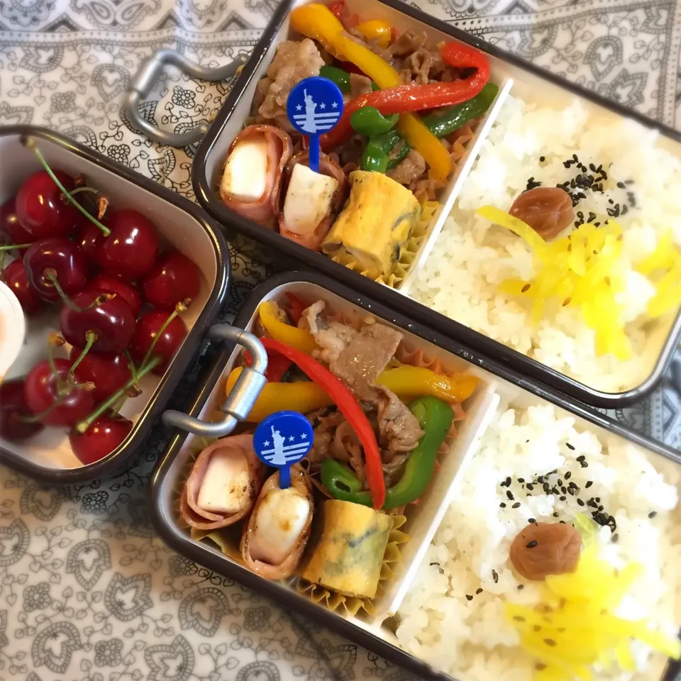 本日の兄弟弁当🍱|anchanさん