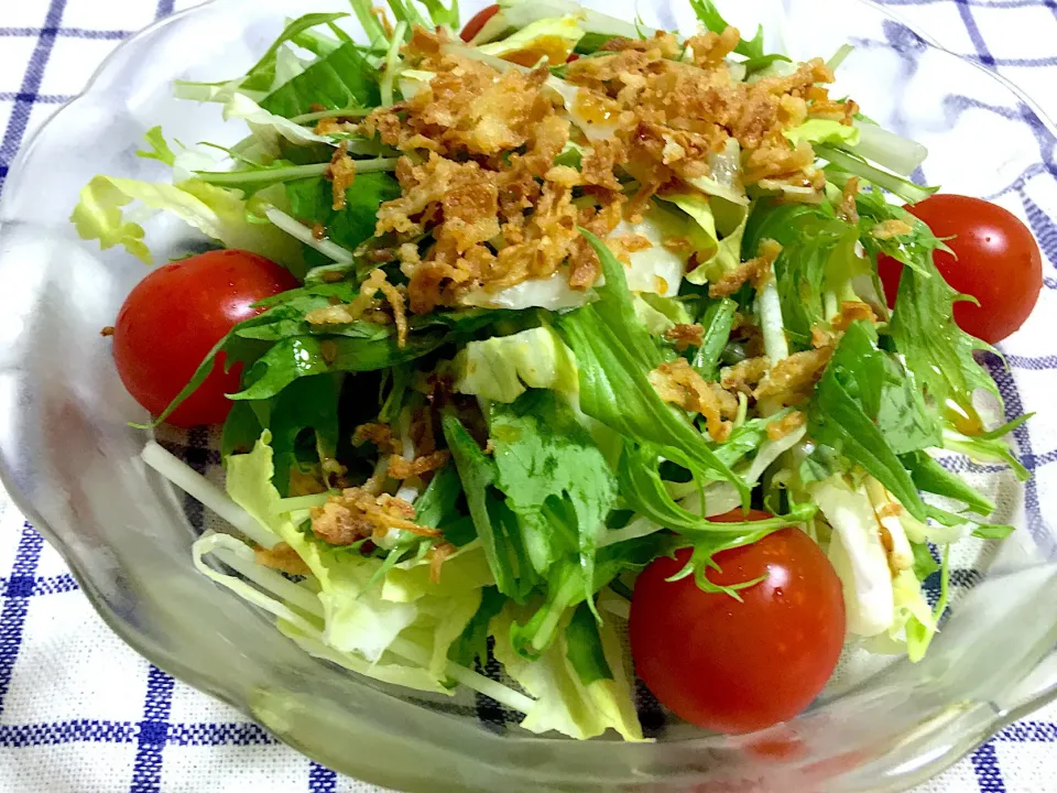 シンプルに水菜とレタスのピリッと中華サラダ🥗|はるさん