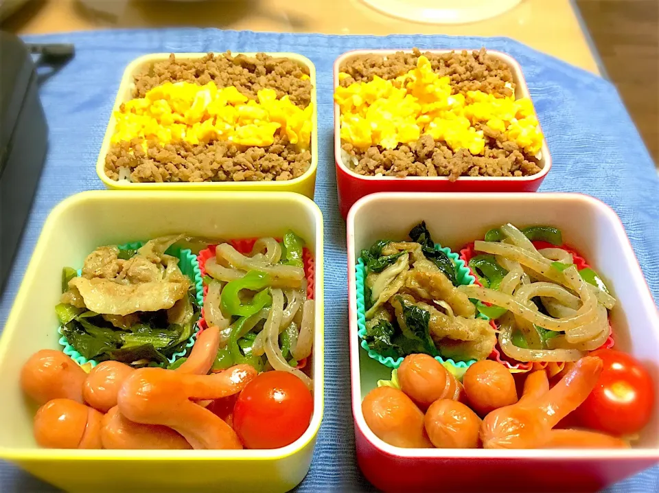 6月5日  娘と奥さん向けお弁当

そぼろ丼
ピーマンと糸蒟蒻の和風炒め
豚肉とほうれん草の中華風
ソーセージ
ミニトマト

急に頼まれたので、かなりやっつけです。|高橋陽一さん