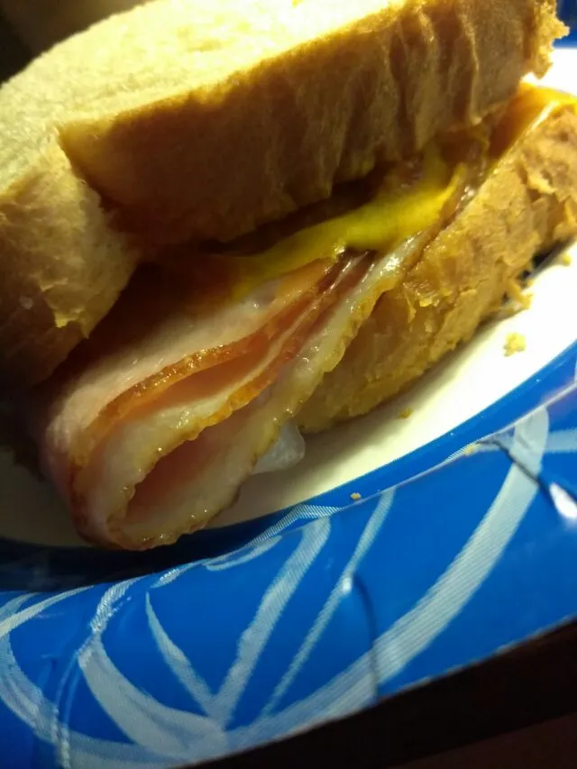 Ham chz Mayo mustard relish and ketchup.|Polly Gelfusoさん