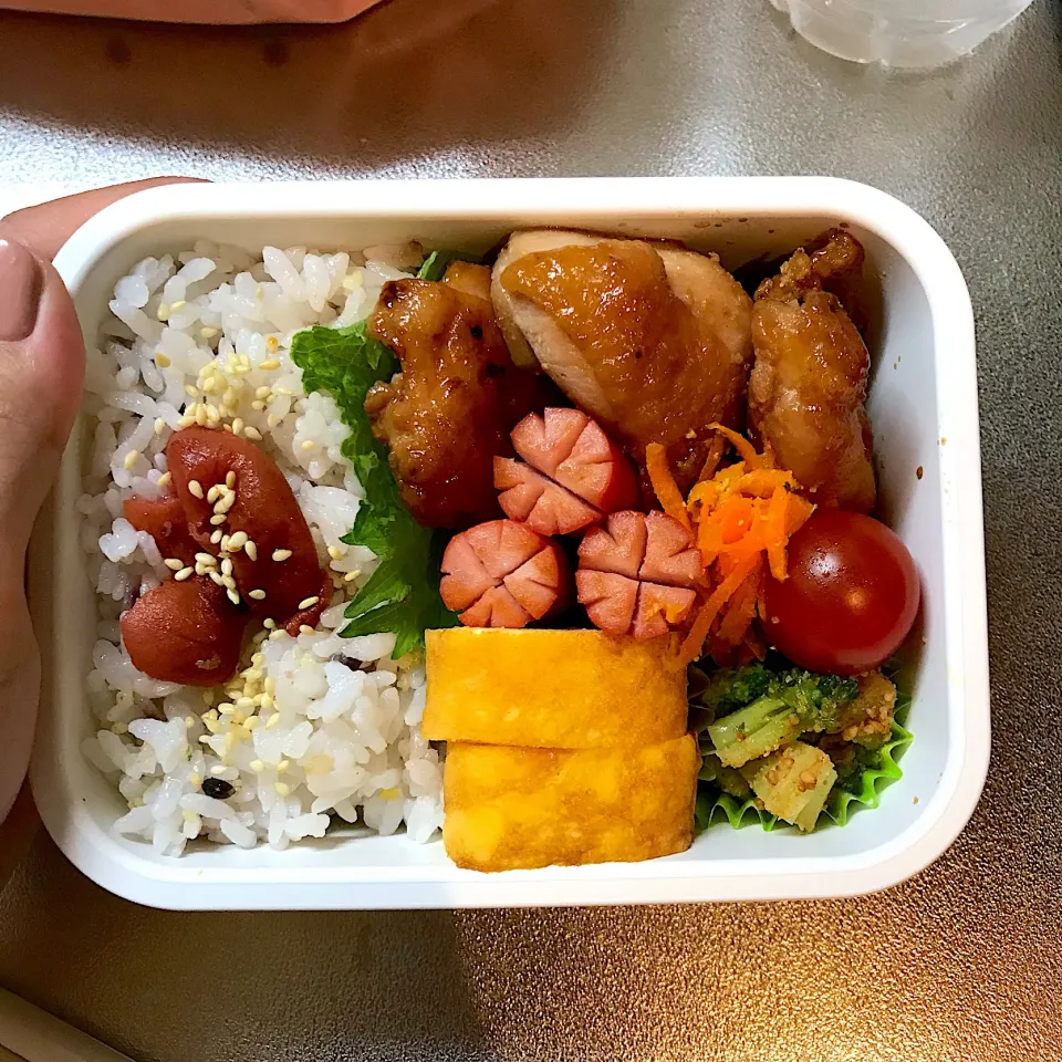 Snapdishの料理写真:今日のお弁当🍱|hiyokology_a9さん