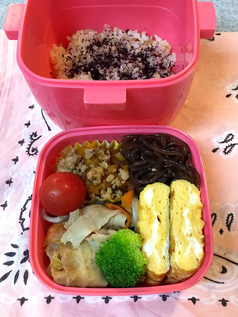 ♫6/6今日のお弁当♫〜豚バラと野菜の重ね蒸し、かぼちゃのそぼろ煮、だし巻き卵、糸こんにゃく甘辛煮、ブロッコリー、プチトマト〜|Satokoさん