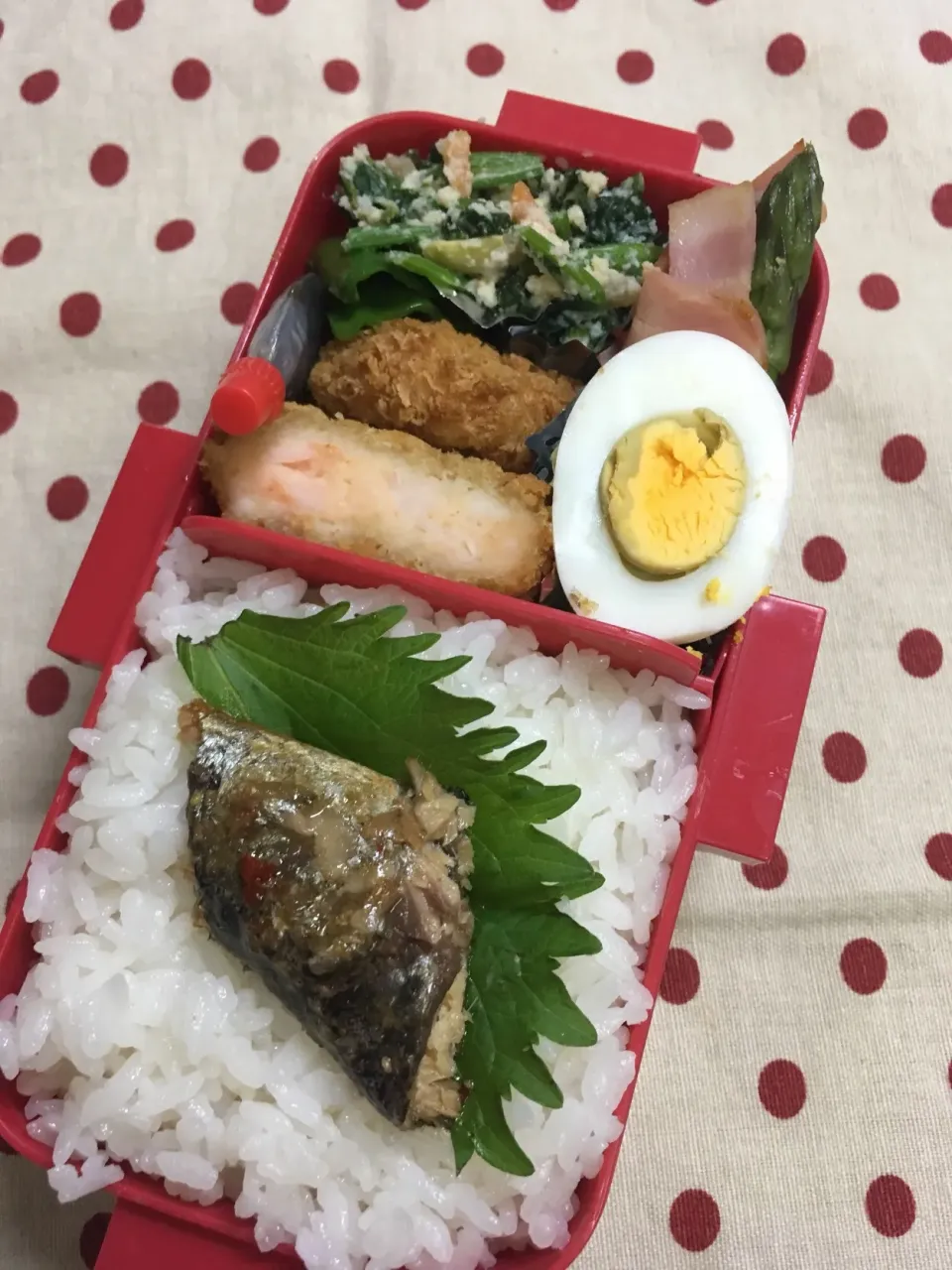 Snapdishの料理写真:6月6日 梅雨入り(？)弁当|sakuramochiさん