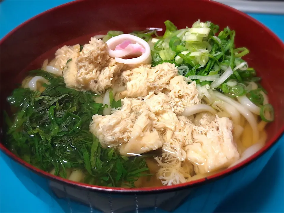 Snapdishの料理写真:MOMOちゃんからの美々卯のうどん😋
山伏茸に薬味いっぱいで頂く！|佐野未起さん