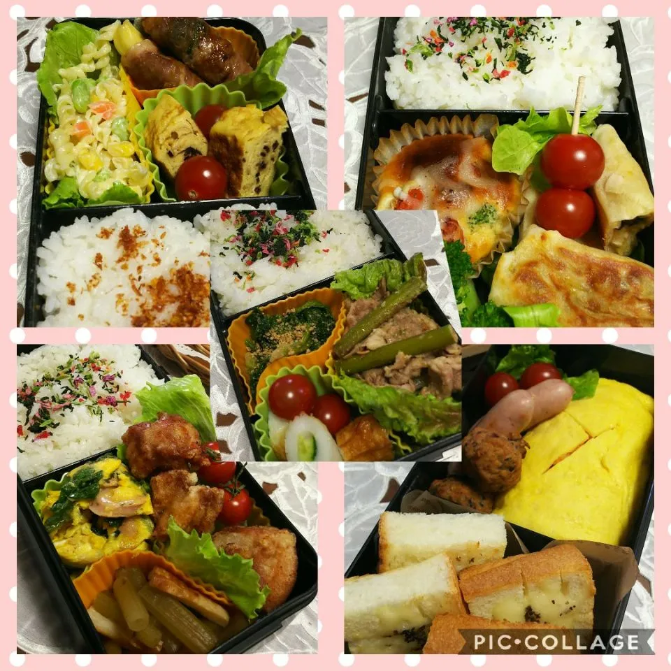 今週のお弁当🍱|Mihoさん