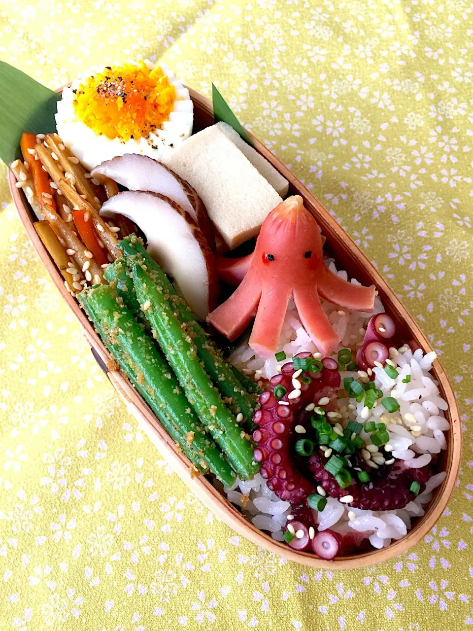 たこ飯弁当🐙|udomegu☆さん