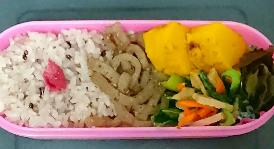 ヴィーガン給食用弁当♪|亜依さん