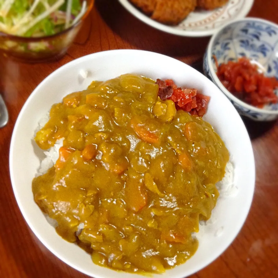 カレーライス
昨日のケンミンショーのバスセンターのカレー風|qtyucoさん