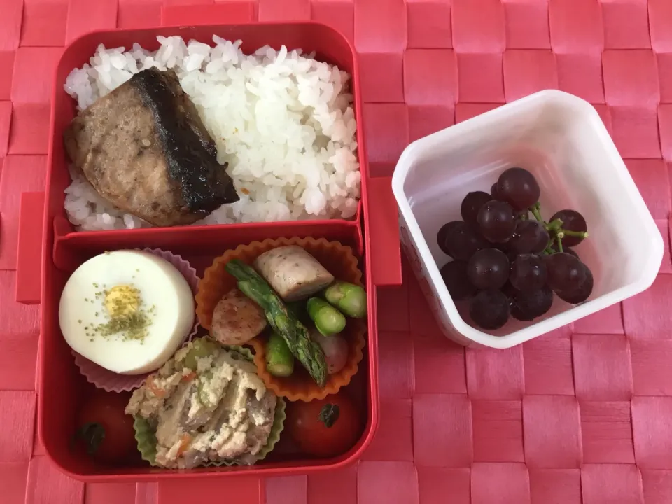 今日のお弁当 #お弁当  #🍱  #lunchbox  #娘のお弁当  #中学生弁当|かれんさん