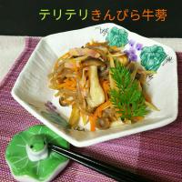 sakurakoちゃんのかんたん酢でテリテリきんぴら牛蒡😋💖