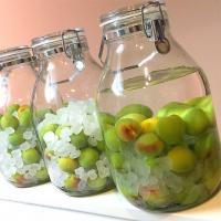 今年も梅酒を漬けました