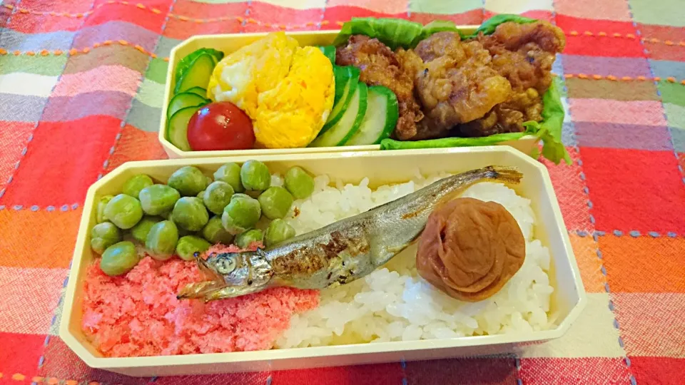 『めいちゃんの弁当』と豚肉の唐揚げ弁父　（娘さん用）|えびフライさん