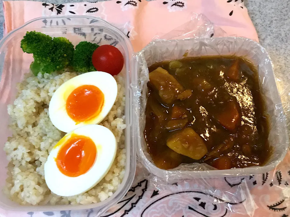 ♫6/11今日のお弁当♫〜カレー、ご飯にゆで卵、ブロッコリーとプチトマト〜カレーを職場のレンジで温めるらしい！|Satokoさん