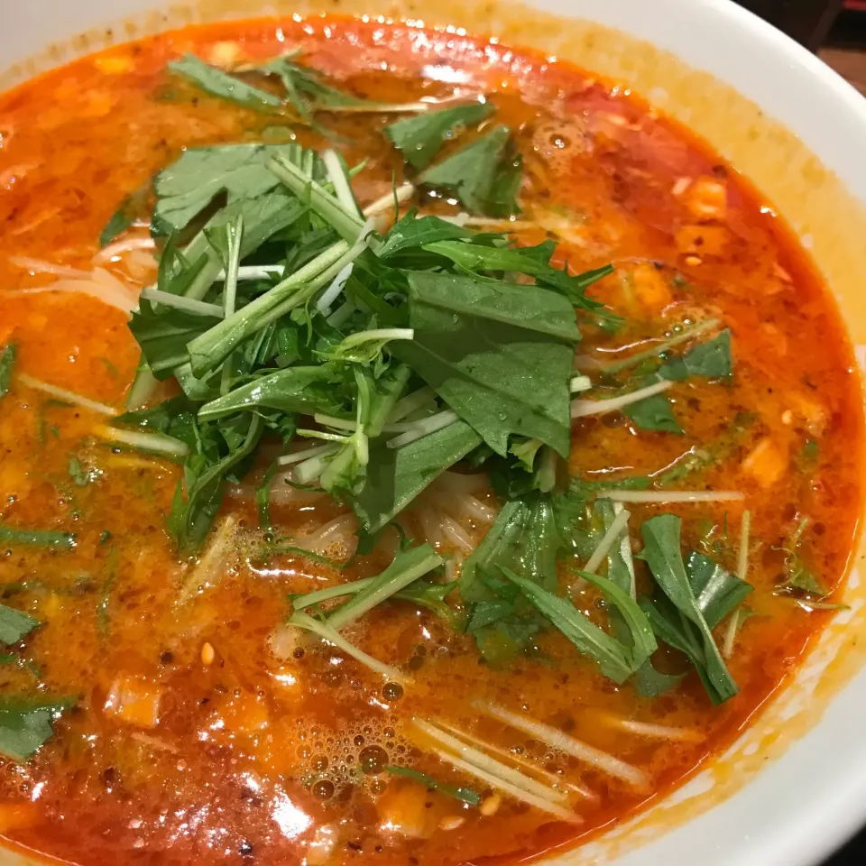 麻SHIBIRE の担担麺|リュカさん