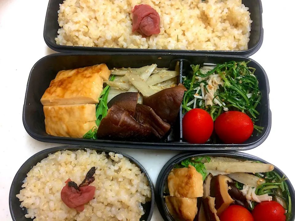 #今日のお弁当|Victoryageさん