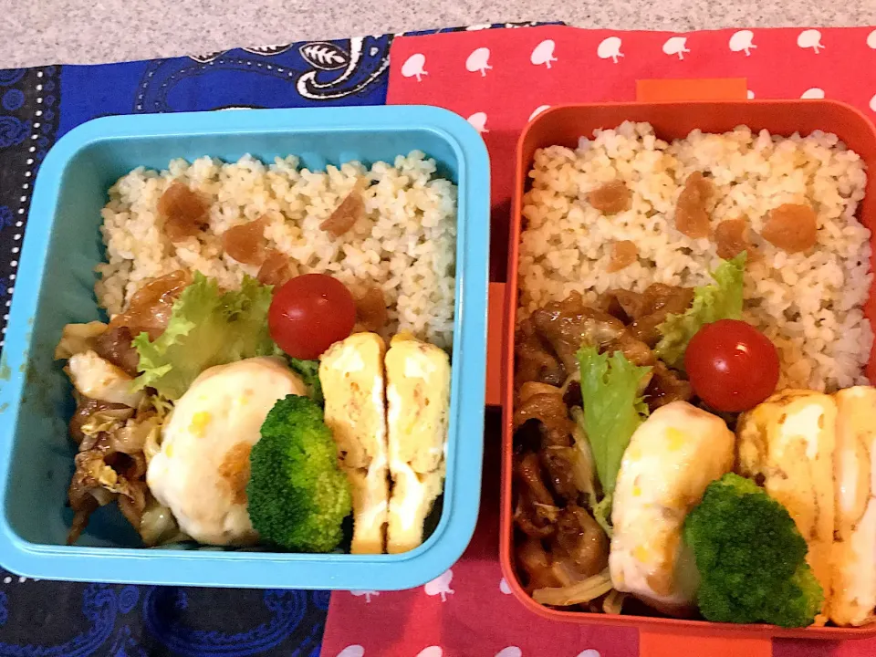 ♫6/13今日のお弁当♫〜豚肉とキャベツの味噌炒め、そぼろはんぺん、だし巻き卵、ブロッコリー、プチトマト〜|Satokoさん