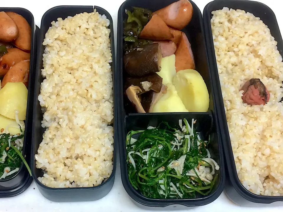 Snapdishの料理写真:#今日のお弁当|Victoryageさん