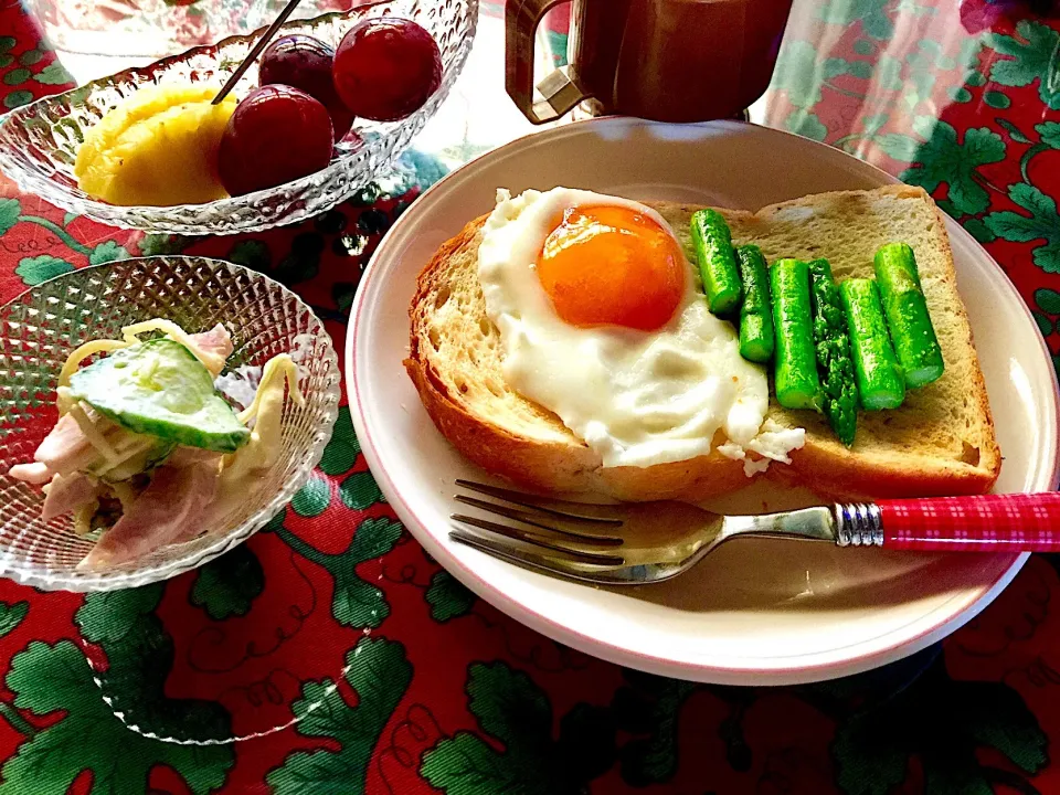 おひる🍞🍳庭の収穫アスパラ🌱|keikoさん