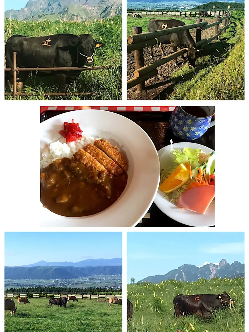 だいぶ前の賄い（ちょこっとカツカレーと彩りサラダ🥗）|かぴかぴさん