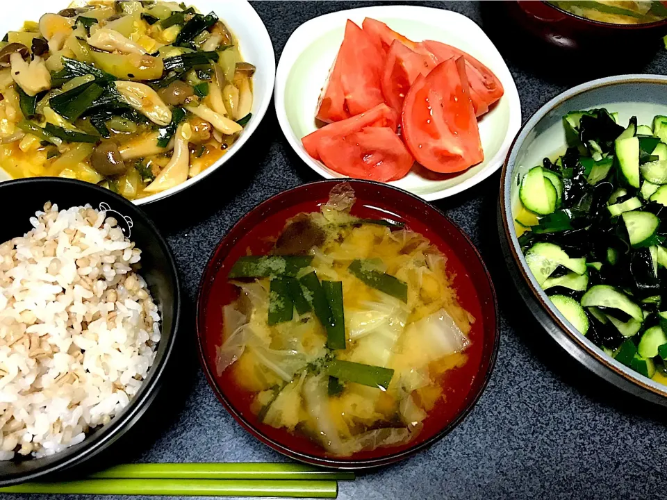 もち麦飯、麻婆きのこズッキーニ、トマト、ニラきのこ白菜味噌汁、きゅうりワカメ酢の物|ms903さん