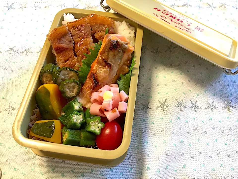 Snapdishの料理写真:2018.6.15肉魚弁当|マム🌹Japanese momさん