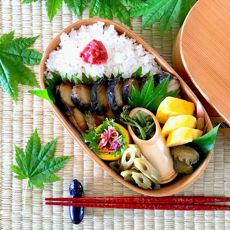 6月の恵み弁当🍱|呑兵衛料理家 おねこさん