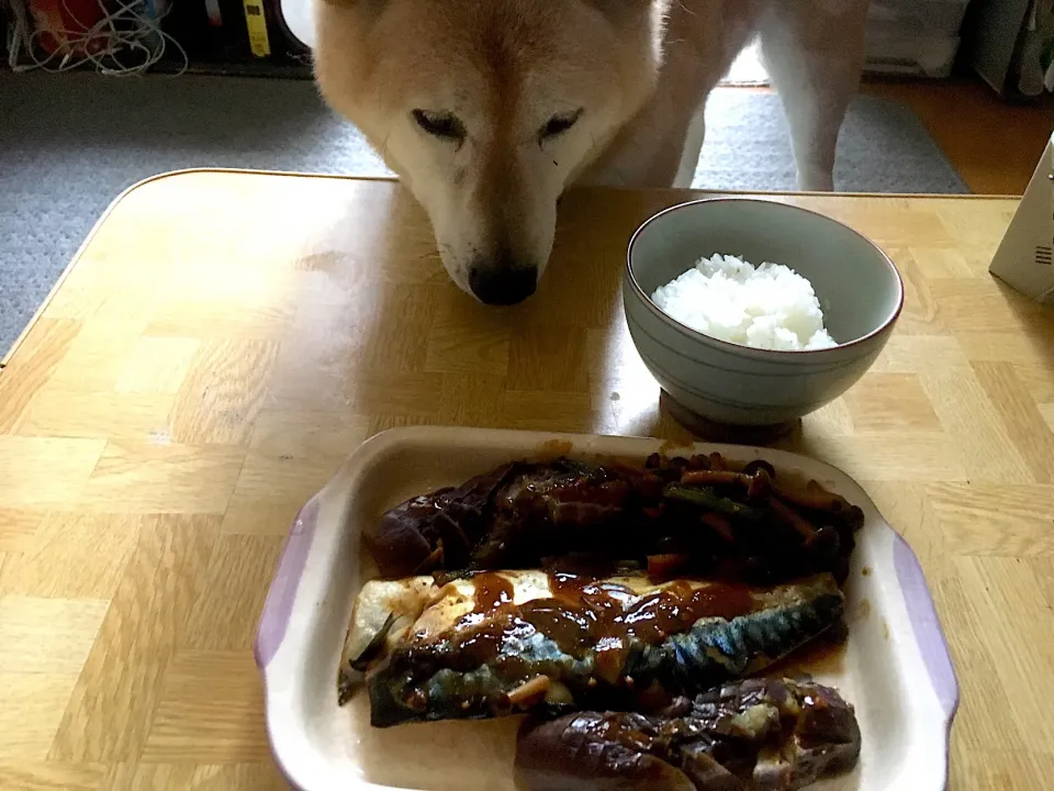 サバの味噌煮|Tarou  Masayukiさん