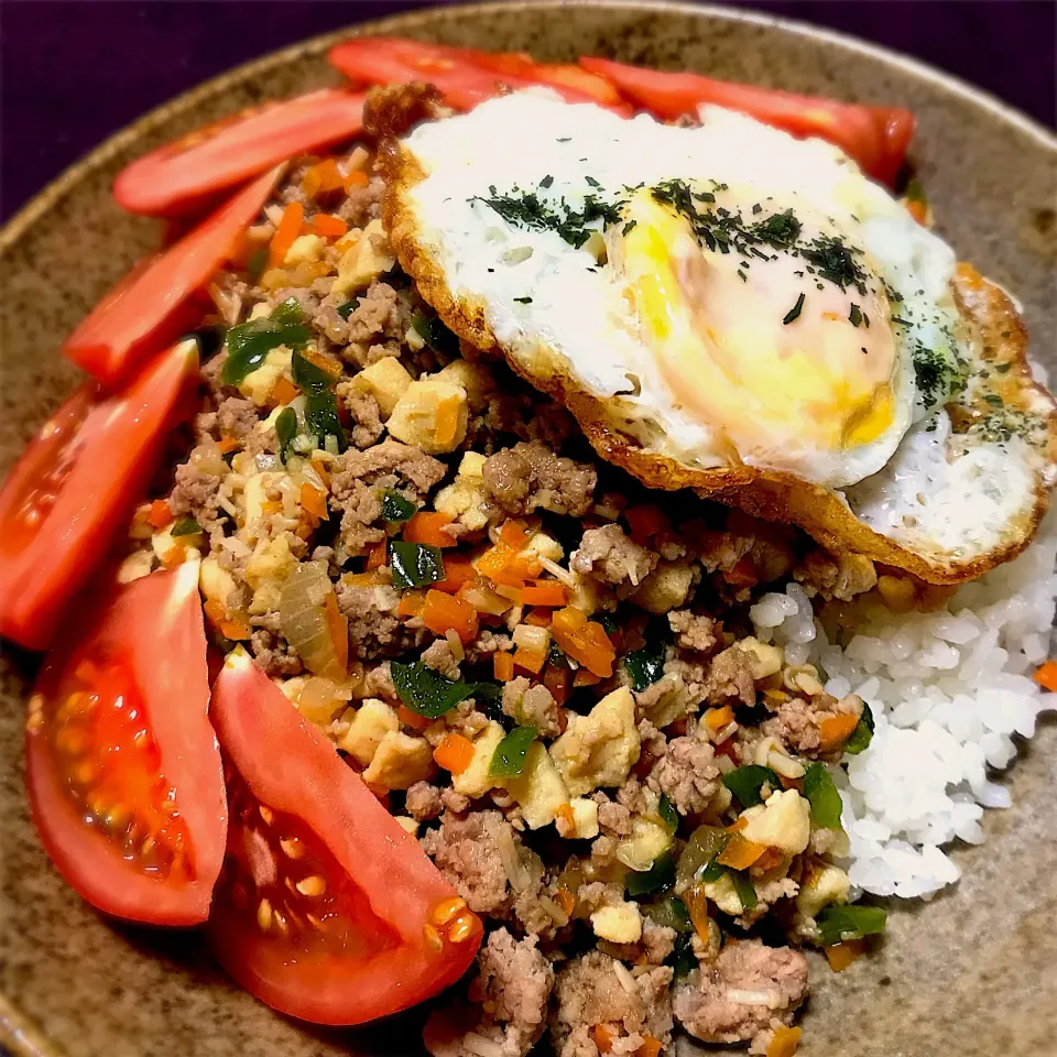 高野豆腐と豚ひき肉のガパオライス風|&しーさん