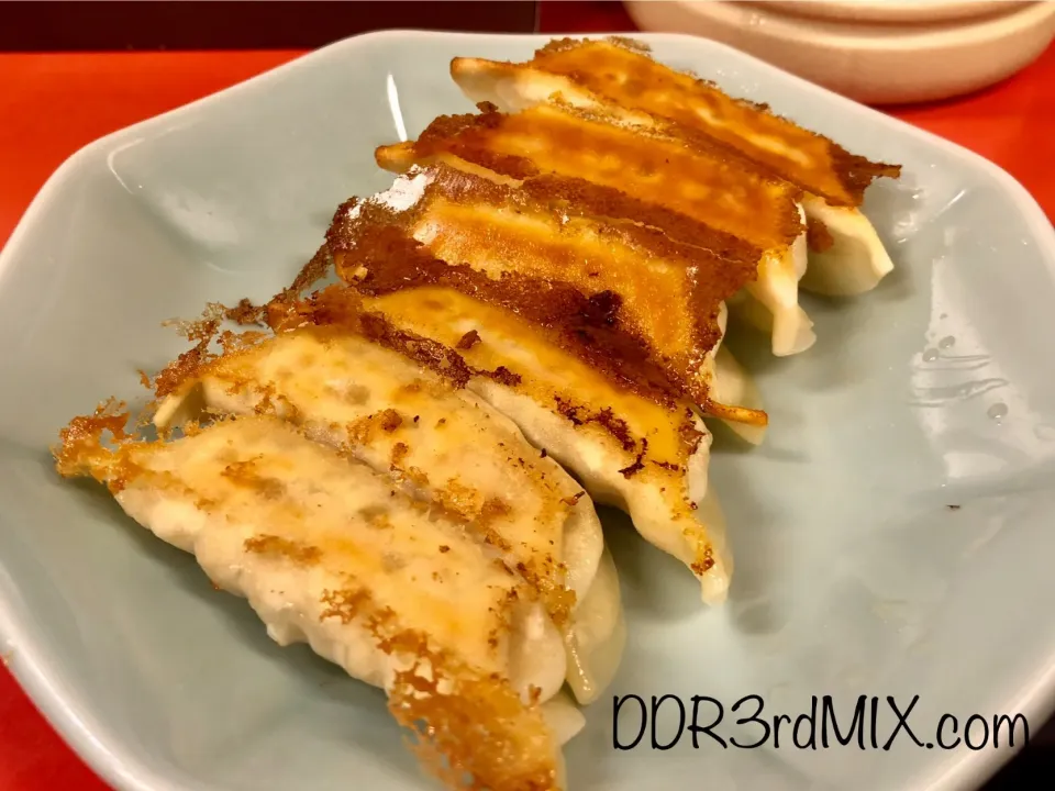 宇都宮みんみん本店 焼餃子|ddr3rdmixさん