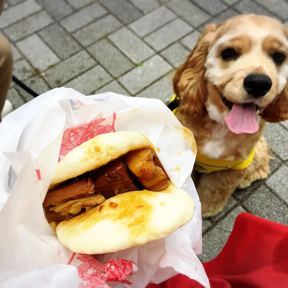 Snapdishの料理写真:角煮まん|Kashimanakitchenさん