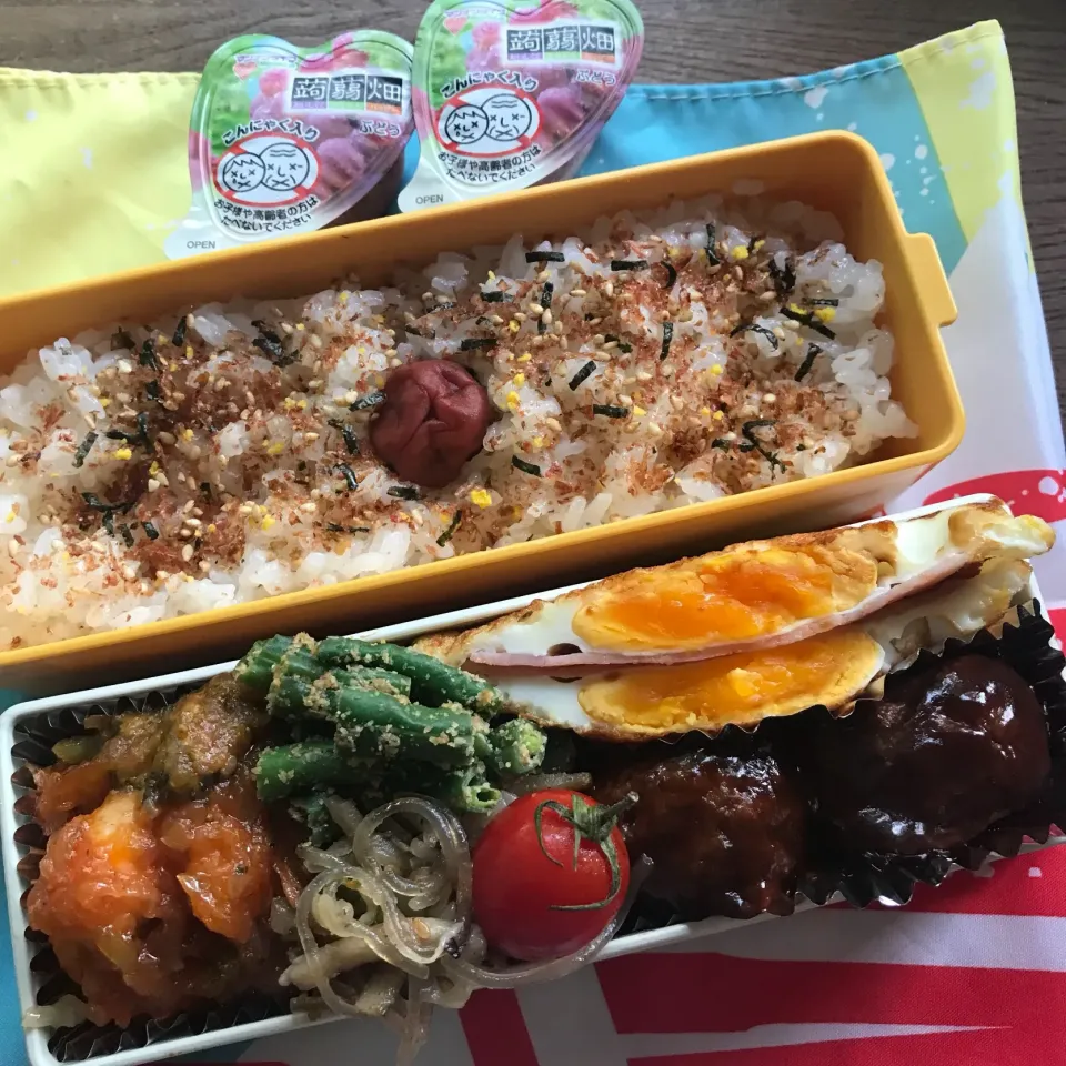 Snapdishの料理写真:6月25日のJK弁当|chiさん