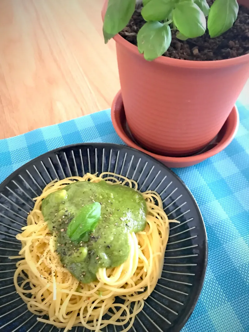 Basil Pasta #Fresh Basil#バジル#Basile#早く育って|kaokaoさん