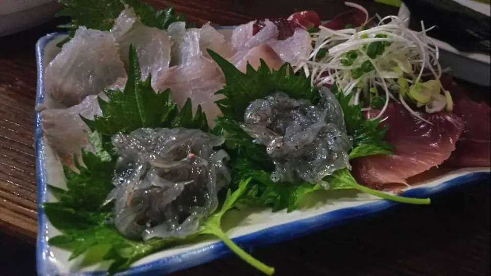 鰹、生しらす、マゴチの刺身|kamekameさん