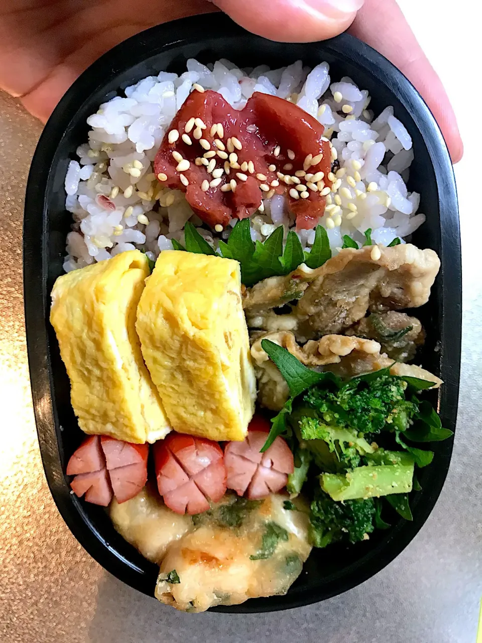 今日のお弁当🍱|hiyokology_a9さん