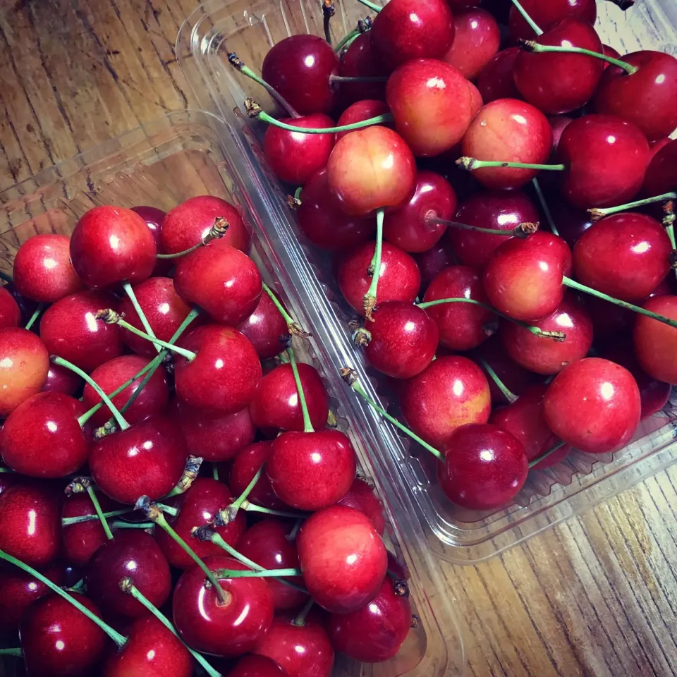 #山形県産さくらんぼ #日本一さくらんぼ|はーさん