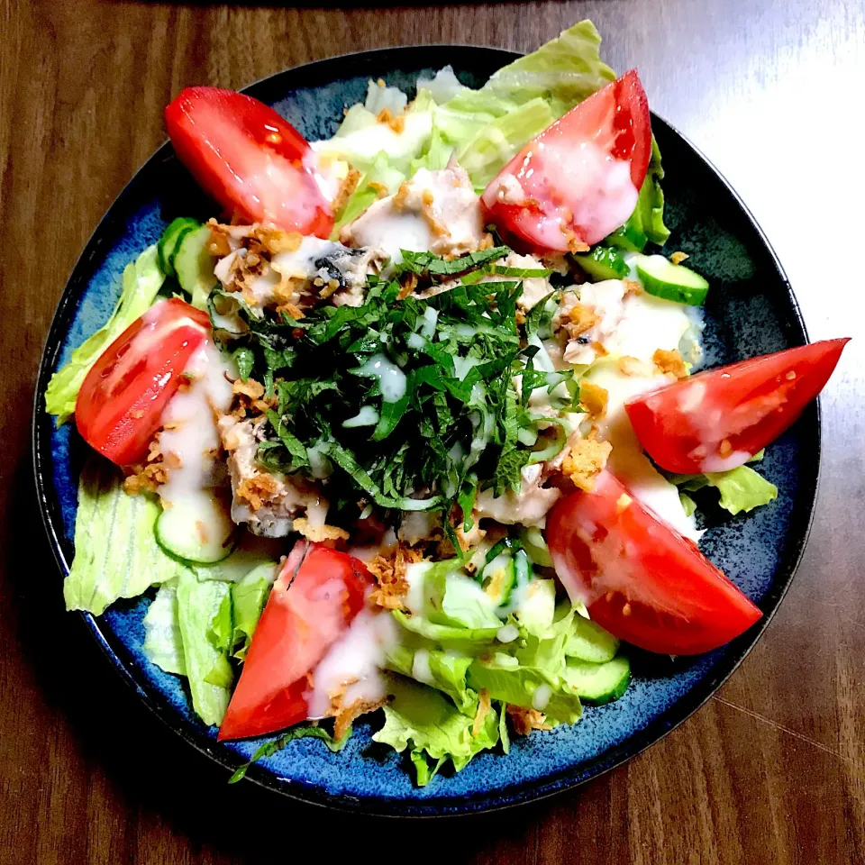 Snapdishの料理写真:鯖缶サラダ🥗|perfuさん