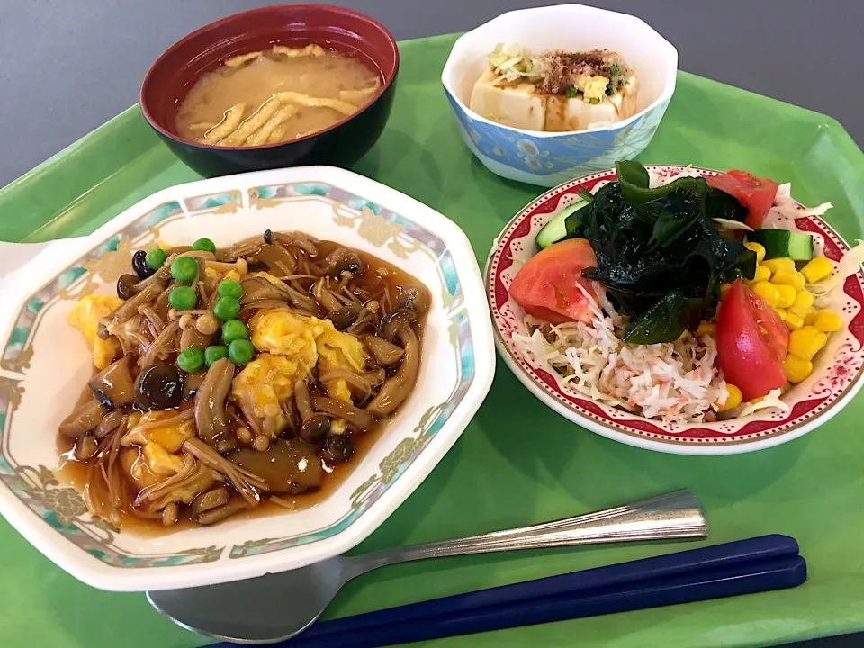 麻茹炒蛋、冷奴、わかめサラダ|Tadahiko Watanabeさん