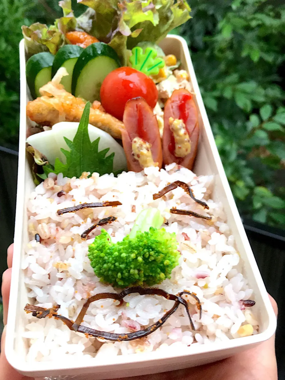 Snapdishの料理写真:お弁当〜🍱
旦那の🍱|まんぞーさん