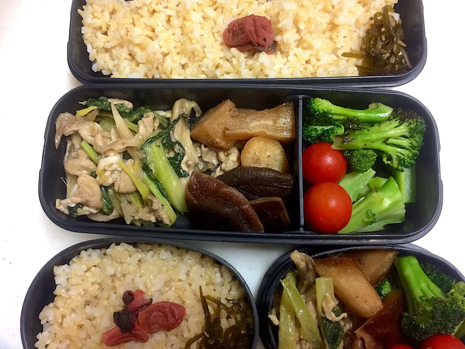 Snapdishの料理写真:#今日のお弁当|Victoryageさん