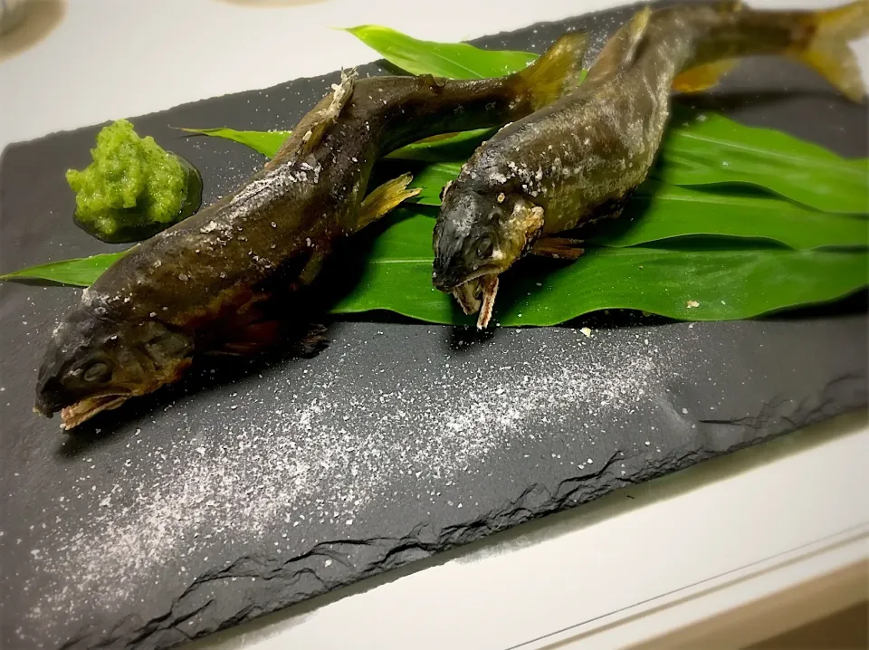 鮎塩焼き|榎木津 礼二郎さん