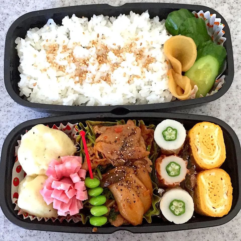 DK弁当 豚肩ロース豆苗エリンギの辣油炒め|Kikikさん