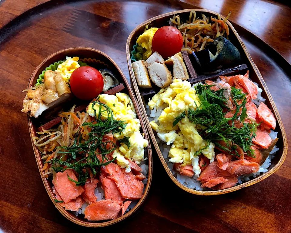 本日もお弁当🍱鮭弁当（王子サーモンの紅鮭使用）そぼろ卵🥚茄子の生姜焼き🍆チキン焼き❤️かぼちゃのサラダ🎃 #わっぱ弁当  #息子弁当  #卵焼き  #しゃけ弁当  #かぼちゃサラダ  #きんぴらゴボウ #王子サーモン|Yukie  Toriseさん