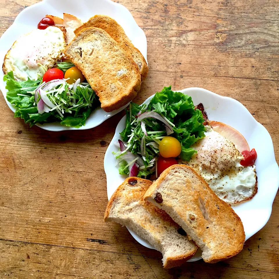 今日の朝ごはん‼︎ 23 June
 #朝ごはん  #朝ごはんプレート  #ワンプレート朝ごはん  #ワンプレート朝ごはん  #ホームベーカリー  #ふたりごはん  #ふたりぐらし|Yoshinobu Nakagawaさん