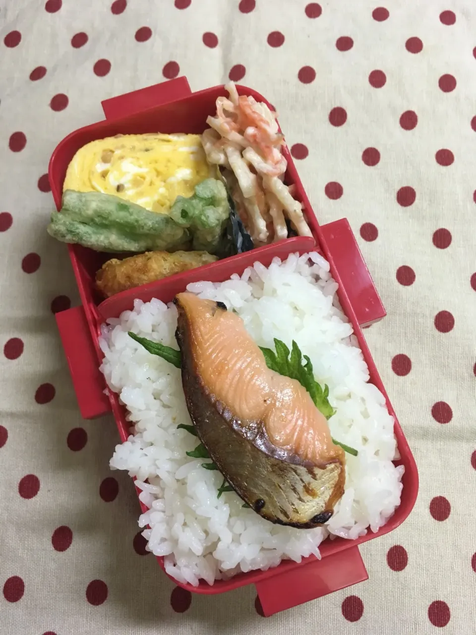 6月21日 梅雨の晴れ間弁当|sakuramochiさん