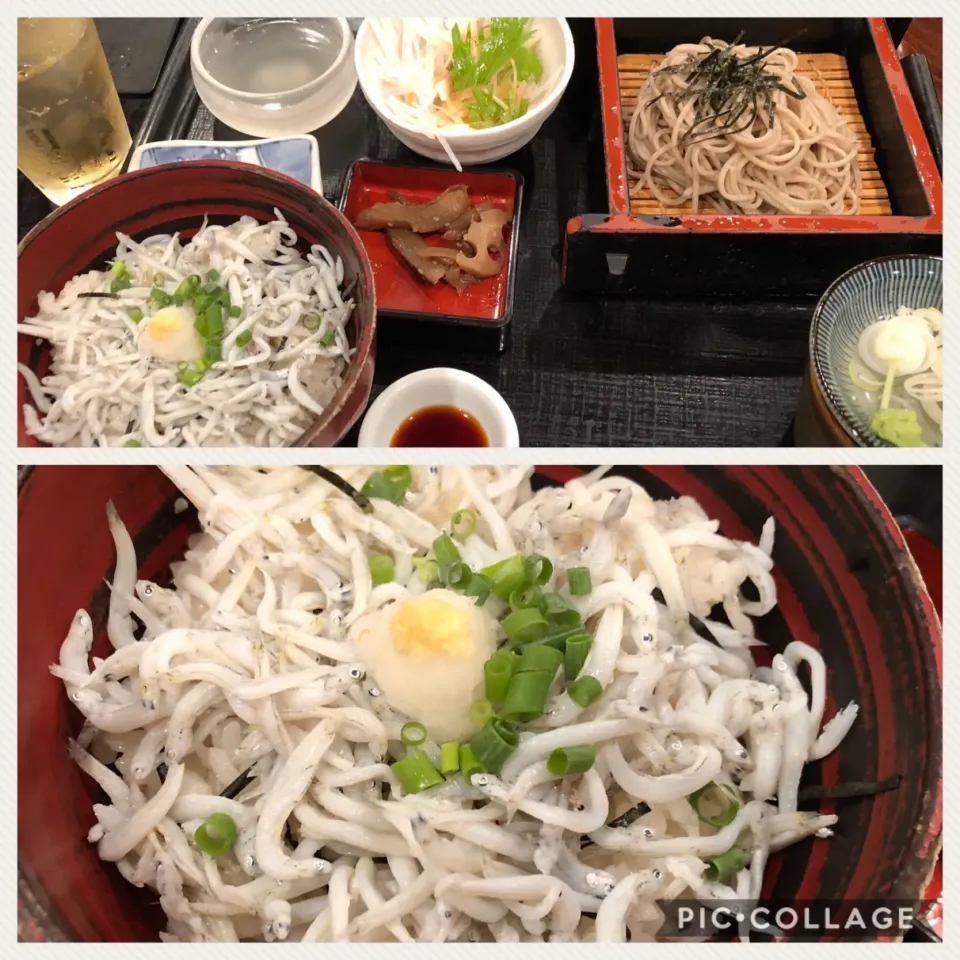 Snapdishの料理写真:鎌倉🎵しらす丼とざる蕎麦🎵|kiyominさん